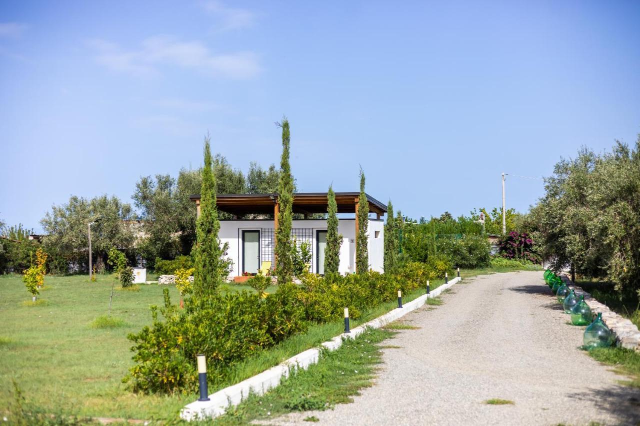 Gallo Fino Ricadi Exterior foto