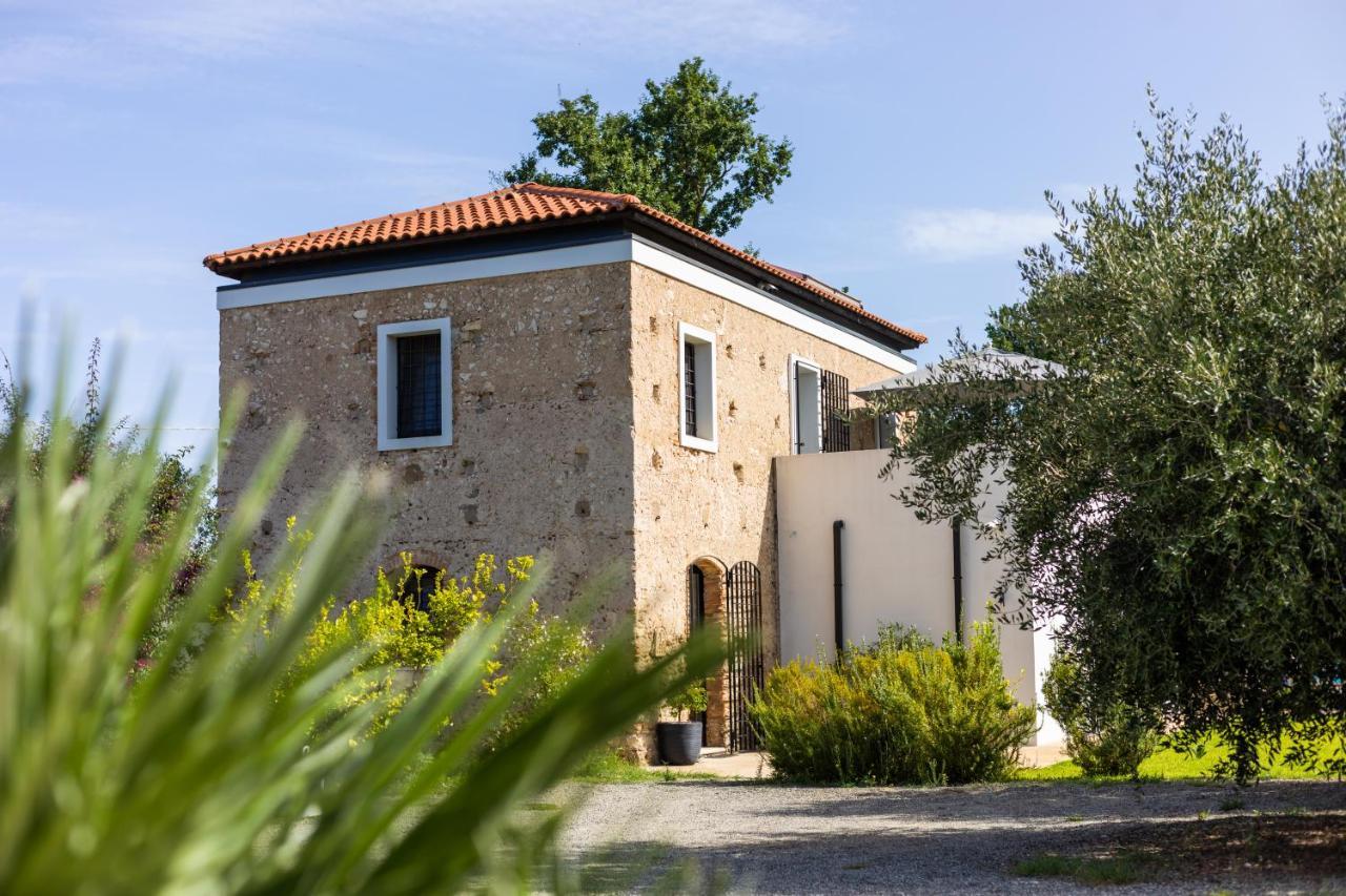 Gallo Fino Ricadi Exterior foto